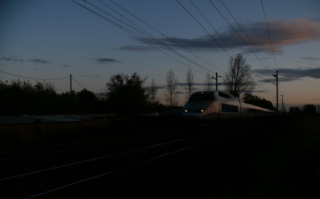 TGV-R im Abendlicht unterwegs von Strasbourg Richtung Westen.


05.11.2009 Eckwersheim