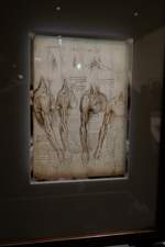 2020-02-23 671 Paris-Louvre Leonardo-da-Vinci-Ausstellung Anatomiezeichnung Arm (Da-Vinci um 1510)