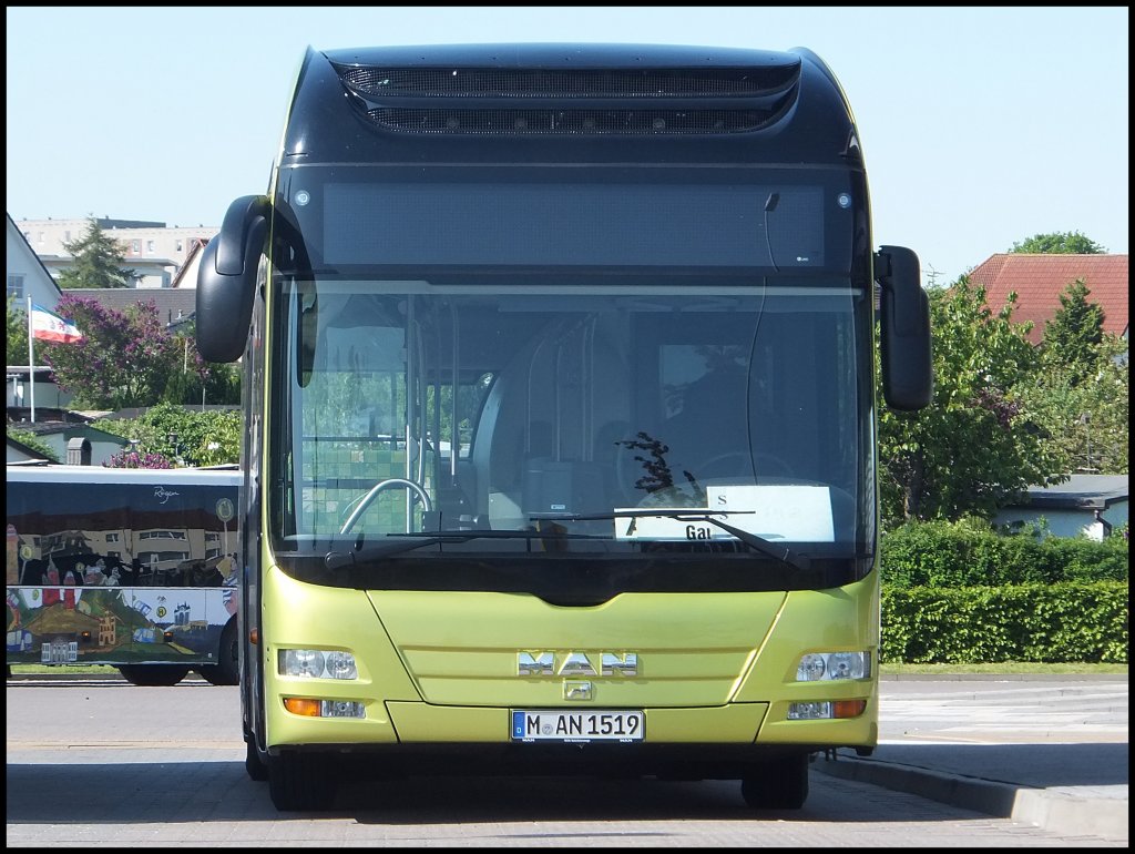 MAN Lion's City HYBRID aus M�nchen zum Test der RPNV auf R�gen in Bergen.