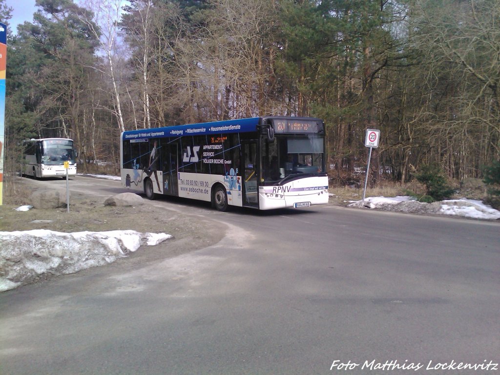 Solaris & Neoplan als Linie 20 mit Ziel Sassnitz bzw G�hren / Hier kurz hinter der Haltestelle Prora, Jugendherberge am 7.4.13