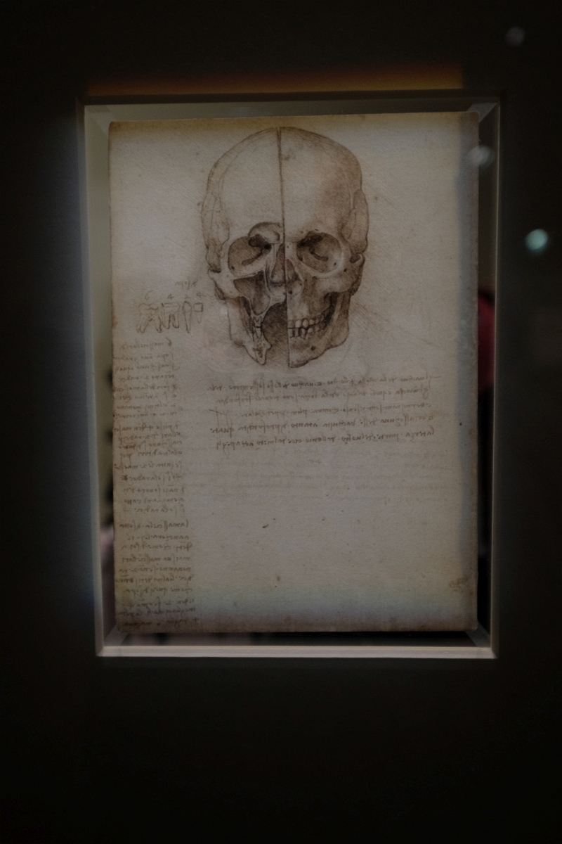2020-02-23 661 Paris-Louvre Leonardo-da-Vinci-Ausstellung Anatomiezeichnung Kopf (Da-Vinci um 1510)