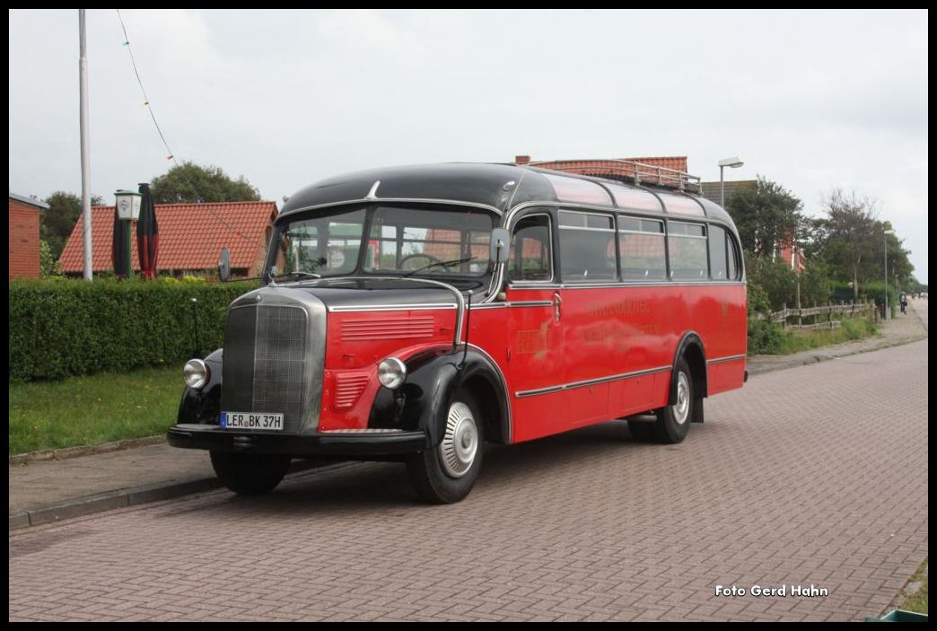 Am 18.08.2015 nahm ich an einer Inselrundfahrt mit dem Oldtimer Mercedes Bus 3500 der Borkumer Kleinbahn teil. Das Foto entstand am Gefl�gel Hof auf Borkum, als dort eine Pause eingelegt wurde. Letzteres geschieht �brigens zur Zeit regelm��ig bei diesen Rundfahrten, so dass Borkum Fotografen dort schon auf den Bus warten k�nnen!