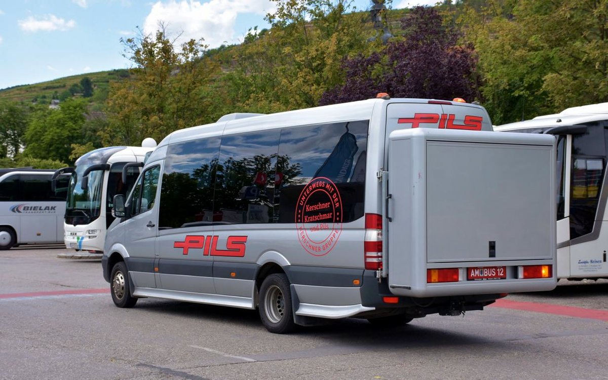 Kleinbus Mercedes Srinter von PILS Reisen aus N.�. 06/2017 in Krems.