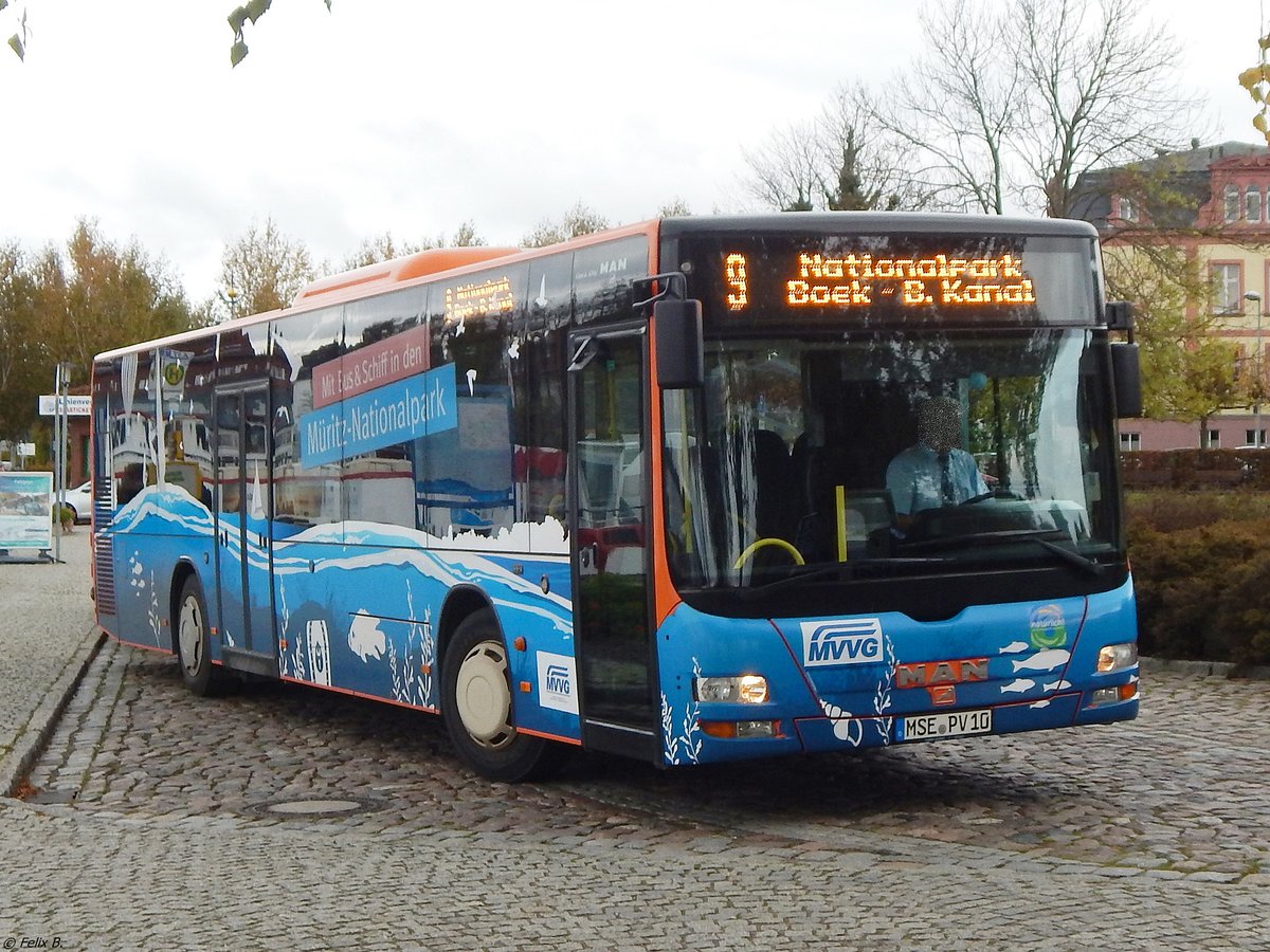 MAN Lion's City mit Anhänger der MVVG in Waren.
