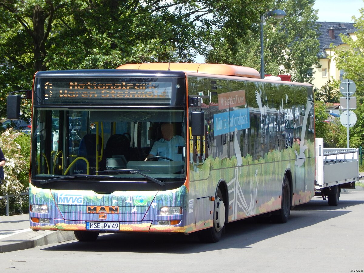 MAN Lion's City mit Fahrradanh�nger der MVVG in Waren.