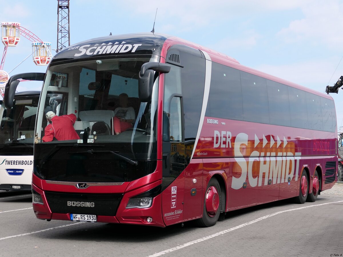 MAN Lion's Coach von Der Schmidt aus Deutschland in Stralsund.
