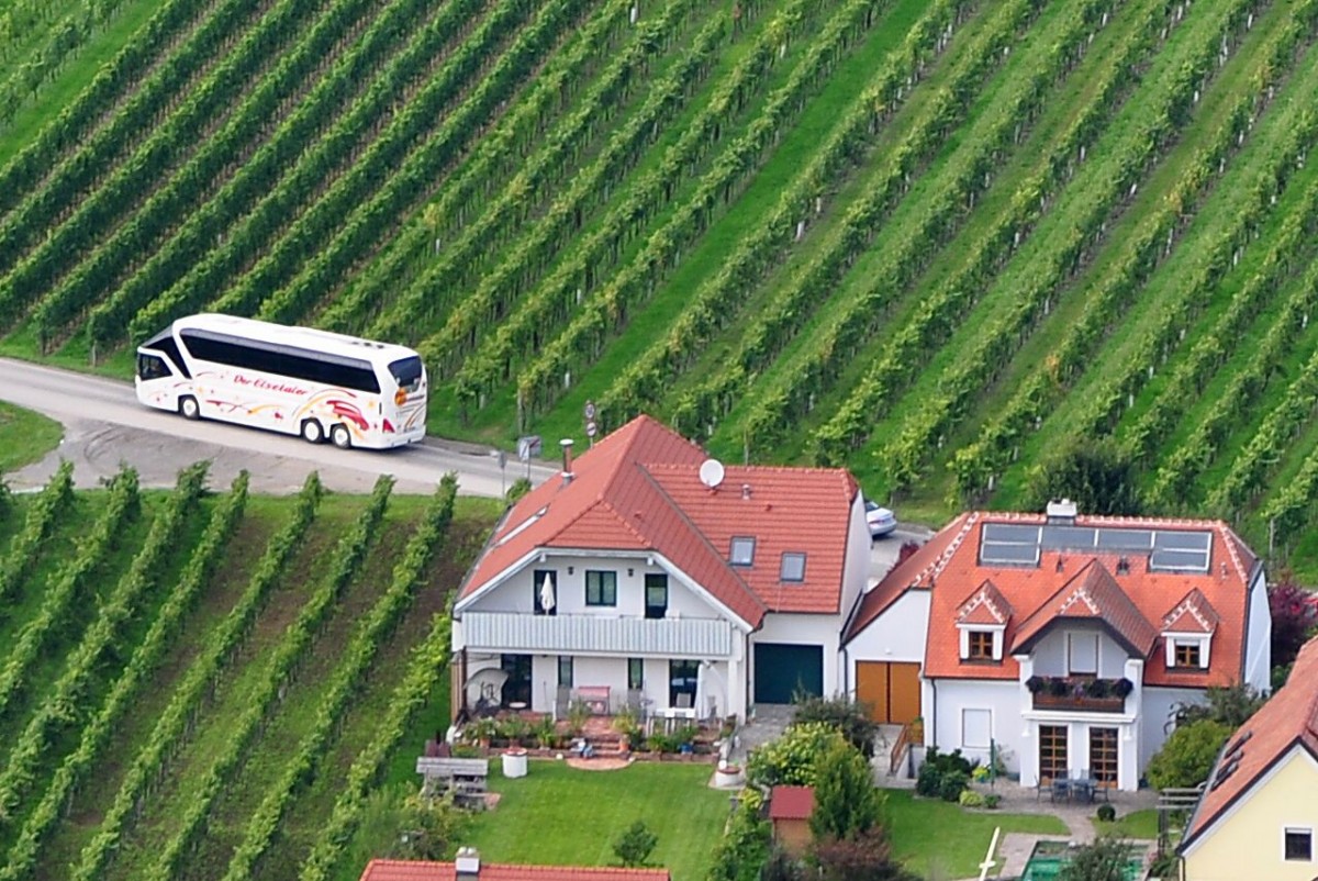 Neoplan Starliner von Elsetaler Reisen aus der BRD hier in Loiben in der Wachau zwischen Krems und D�rnstein / Wachau,linkes Ufer unterwegs.12.9.2014,Aufnahme vom anderen Donauufer auf der Ferdinandswarte aus gemacht!