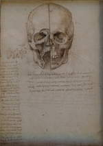 2020-02-23 662a Paris-Louvre Leonardo-da-Vinci-Ausstellung Anatomiezeichnung Kopf (Da-Vinci um 1510)