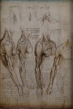 2020-02-23 671a Paris-Louvre Leonardo-da-Vinci-Ausstellung Anatomiezeichnung Arm (Da-Vinci um 1510)
