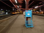Strasbourg Gare Ouigo Gepäckkontrollgestell