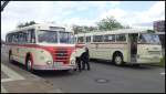 IFA H6B und Ikarus 66 der Rostocker Stra�enbahn AG in Rostock.