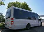 Mercedes Sprinter von Amann Reisen aus �sterreich in Krems.