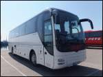 MAN Lion's Coach von Jabo aus Deutschland im Stadthafen Sassnitz.