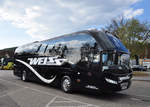 Neoplan Cityliner von Weiss Reisen aus �sterreich in Krems.