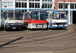 Am Abend des 17.07.2021 waren die 3x historischen Ikarus Busse auf dem Gel�nde der Rostocker Stra�enbahn AG zu Gast