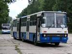 Ikarus 280 vom Technikmuseum Pütnitz (exex Kapos Volán Zrt.
