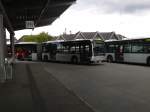 Ein Citaro G der VHH f�hrt im Bf.Bergedorf ein