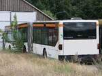 Mercedes Citaro I (ex VVR, exex moBiel GmbH) in Goldenst�dt.