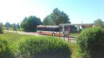...citaro facelift in Greifswald fotografiert....wo nur diese die Solo-Version zusehen ist