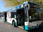 Mercedes Citaro III der Neubrandenburger Verkehrsbetriebe in Neubrandenburg.