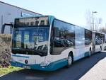 Mercedes Citaro III der Neubrandenburger Verkehrsbetriebe in Neubrandenburg.