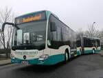 Mercedes Citaro III der Neubrandenburger Verkehrsbetriebe in Neubrandenburg.