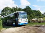 Irisbus Crossway der MVVG in Moltzow.