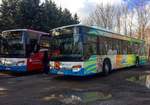 Hier zwei sch�ne Setra Busse aus RDG  175 und 172