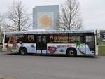 Volvo 8700 der VVR in Sagard.