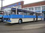 Gelenkomnibus Ikarus 280 der  Cottbusverkehr , Nr.