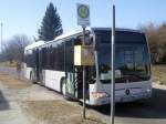 Mercedes Citaro LE � als Leasingbus in Sassnitz.