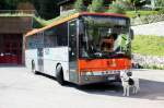 Das ist ein Setra S 313 UL des S�dtiroler Verkehrsverbundes.