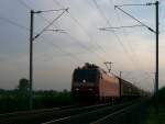 Gter gen Osten: 2007 waren auch DB-Loks durch die Vogesen mit Gterzgen unterwegs. Hier ist die DB 185-038 mit einem Gterzug im Abendlicht auf dem Weg zum Rhein. 

07.06.2007 Schwindratzheim 